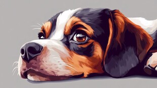 趴着的三色小狗特写