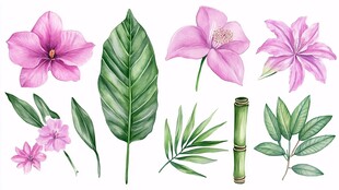 粉色花卉与绿叶水彩素材