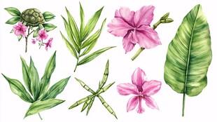 水彩风植物花卉元素集