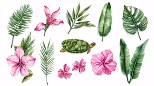 热带花卉绿植与海龟插画