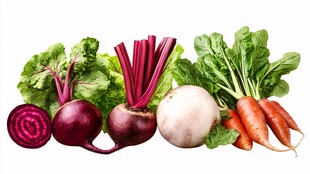 多样新鲜根茎叶类蔬菜