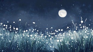 月夜下的梦幻蒲公英草地