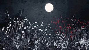 月夜下的花草浪漫景致