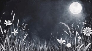 月夜下的花草梦幻景象