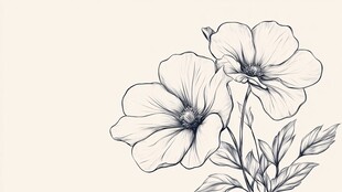 手绘两朵花卉线条图