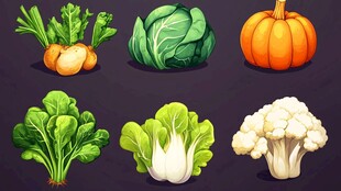 多样新鲜蔬菜插画展示