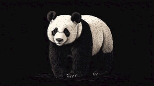 黑白熊猫的优雅姿态