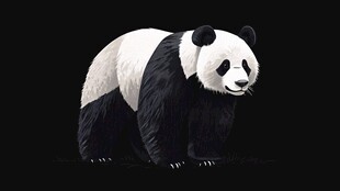 可爱大熊猫插画