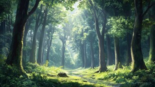 阳光洒落的静谧森林小道