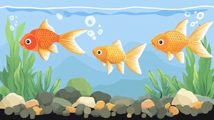 三条金鱼畅游在水底世界