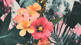 绚丽热带花卉植物景致