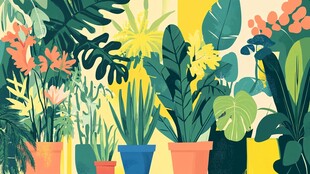 多彩盆栽营造室内绿植世界