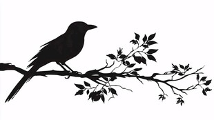 枝头小鸟剪影