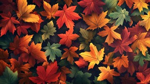 五彩斑斓秋叶背景图