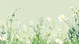 春日草地雏菊清新景象