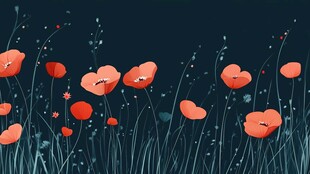 暗夜中的红色罂粟花绽放