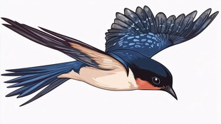 飞翔的燕子插画