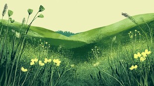 春日绿野繁花田园风光