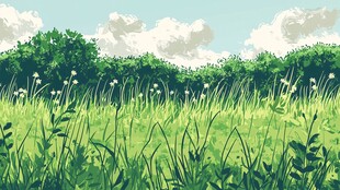 清新绿意盎然的原野风光