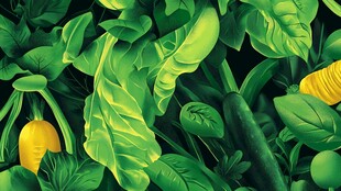 生机勃勃的蔬菜插画世界