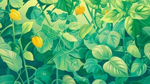 田园中的黄色果实与绿叶