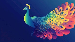 绚丽孔雀 绽放独特光彩