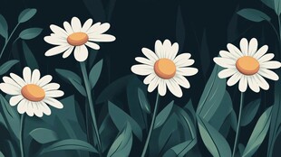 四朵雏菊绽放于绿叶间