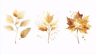 水彩风秋季树叶插画