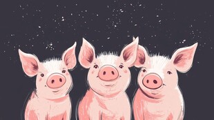 三只萌态小猪的温馨画面