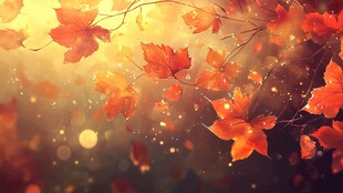 秋日枫叶飘洒梦幻景象