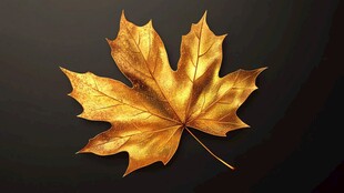 金色枫叶静美特写