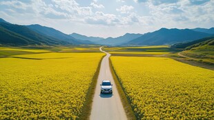 车驰花海间 远山入眼帘