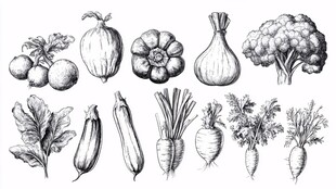 手绘蔬菜集合图