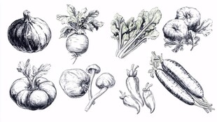手绘蔬菜素描集合