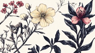 手绘花卉植物图案装饰画