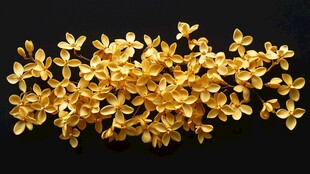 金黄小花簇 优雅视觉盛宴