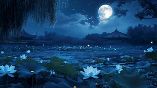 月夜荷塘古风美景