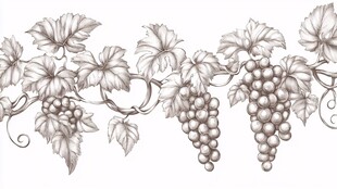 葡萄藤蔓手绘装饰图案
