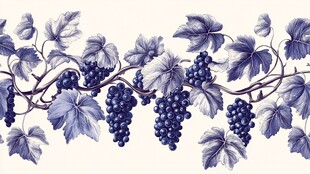蓝紫色葡萄藤装饰图案