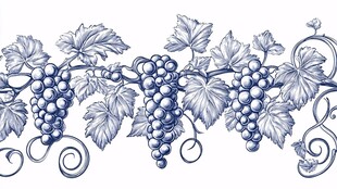 葡萄藤蔓手绘装饰图案