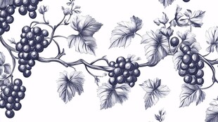 手绘葡萄藤蔓图案设计