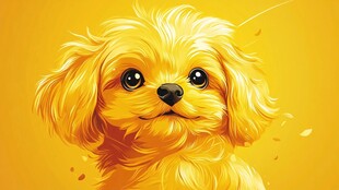 可爱金毛犬的萌趣瞬间