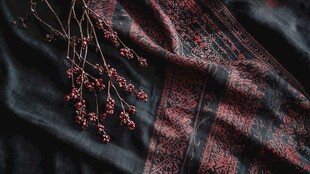 黑底红纹布上的红果枝条