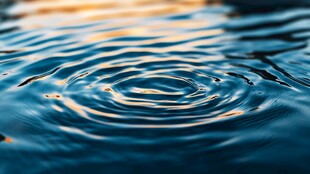 水面涟漪 光影下的灵动波纹