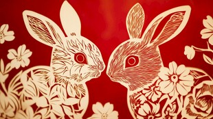 双兔剪纸图 喜庆又精美