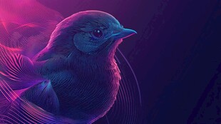 梦幻紫调小鸟抽象艺术图