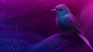 梦幻紫背景上的精致小鸟