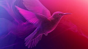 梦幻紫调飞翔的灵动蜂鸟