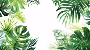热带植物边框背景图