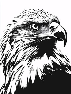 黑白雄鹰头像特写
